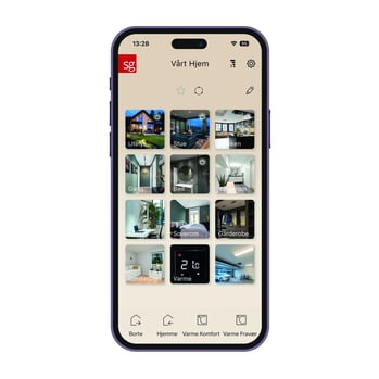 Phone SG Smart 3.0 Beige (002)