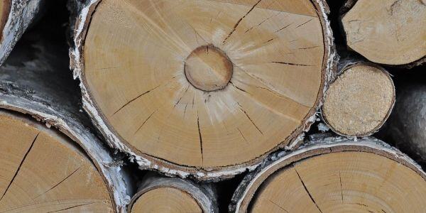 wood-498736_1280 Pixabay_600x300