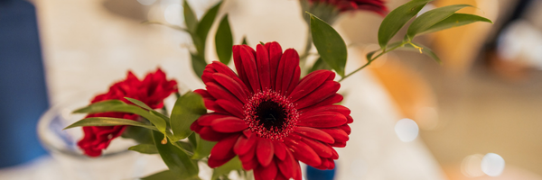 Newsletter: Flower 600x200