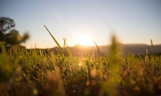 Uutiskirje_summer_560x336